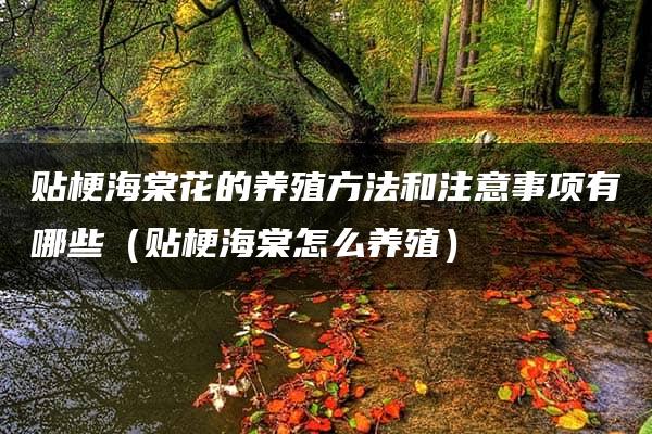 贴梗海棠花的养殖方法和注意事项有哪些（贴梗海棠怎么养殖）