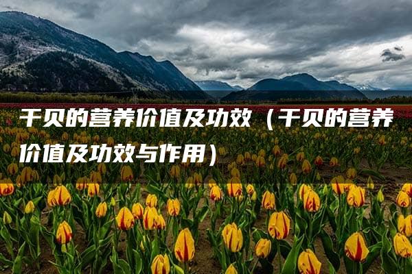 干贝的营养价值及功效（干贝的营养价值及功效与作用）