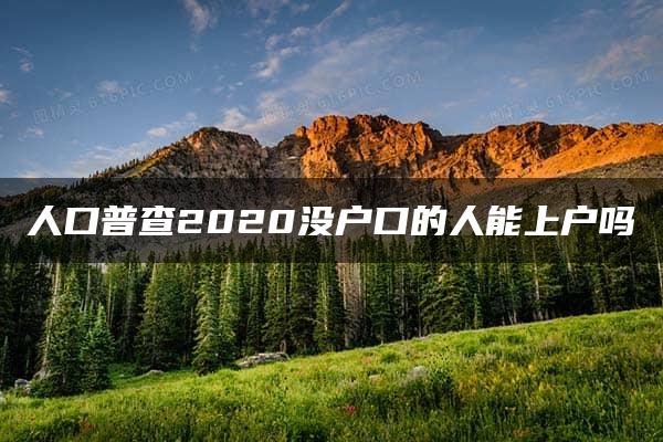 人口普查2020没户口的人能上户吗