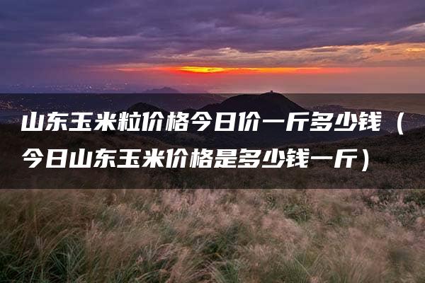 山东玉米粒价格今日价一斤多少钱（今日山东玉米价格是多少钱一斤）