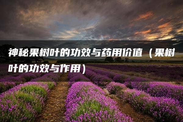 神秘果树叶的功效与药用价值（果树叶的功效与作用）