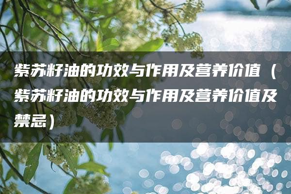 紫苏籽油的功效与作用及营养价值（紫苏籽油的功效与作用及营养价值及禁忌）