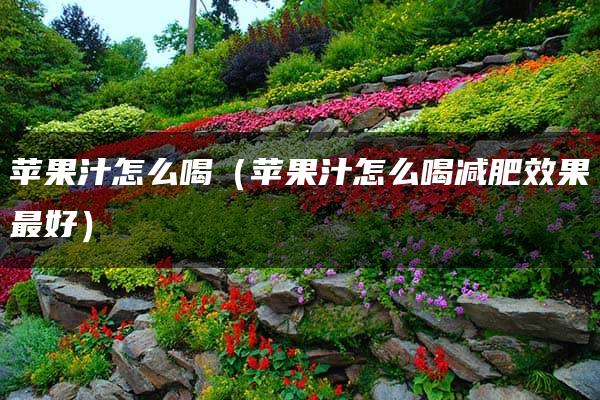 苹果汁怎么喝（苹果汁怎么喝减肥效果最好）