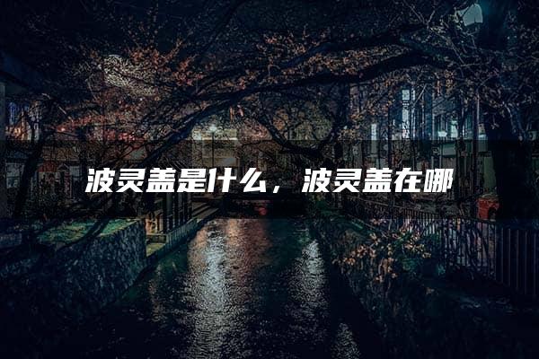 波灵盖是什么，波灵盖在哪