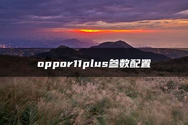 oppor11plus参数配置