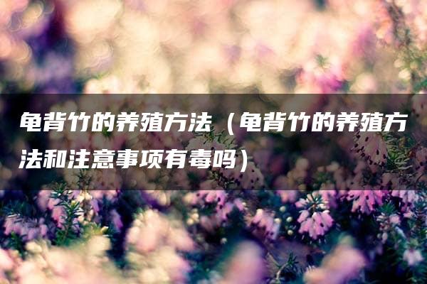 龟背竹的养殖方法（龟背竹的养殖方法和注意事项有毒吗）