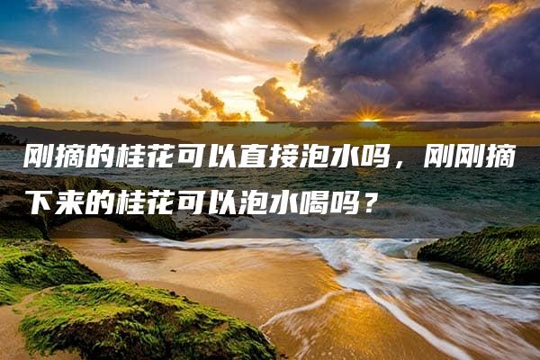 刚摘的桂花可以直接泡水吗，刚刚摘下来的桂花可以泡水喝吗？