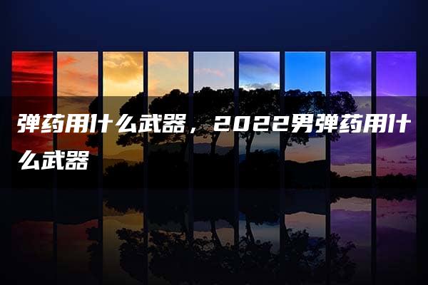 弹药用什么武器，2022男弹药用什么武器