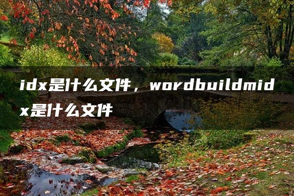 idx是什么文件，wordbuildmidx是什么文件