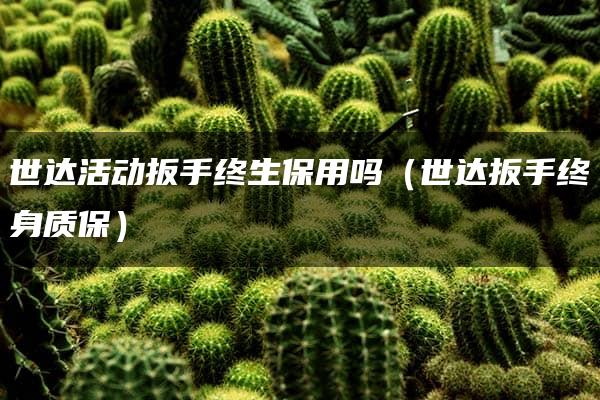 世达活动扳手终生保用吗（世达扳手终身质保）