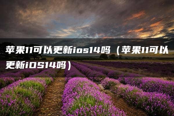 苹果11可以更新ios14吗（苹果11可以更新iOS14吗）