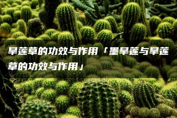 旱莲草的功效与作用「墨旱莲与旱莲草的功效与作用」