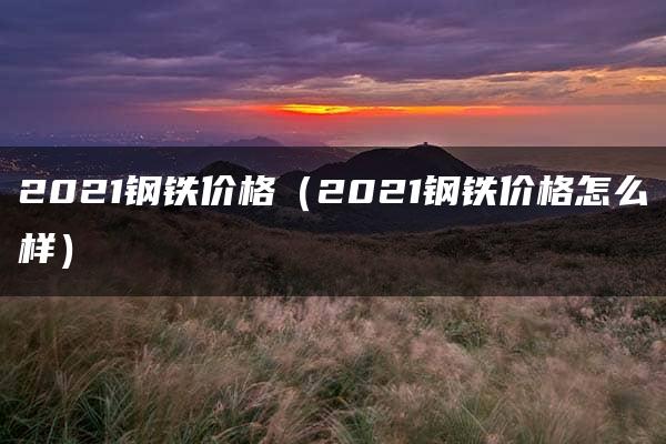 2021钢铁价格（2021钢铁价格怎么样）