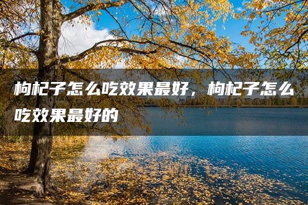 枸杞子怎么吃效果最好，枸杞子怎么吃效果最好的