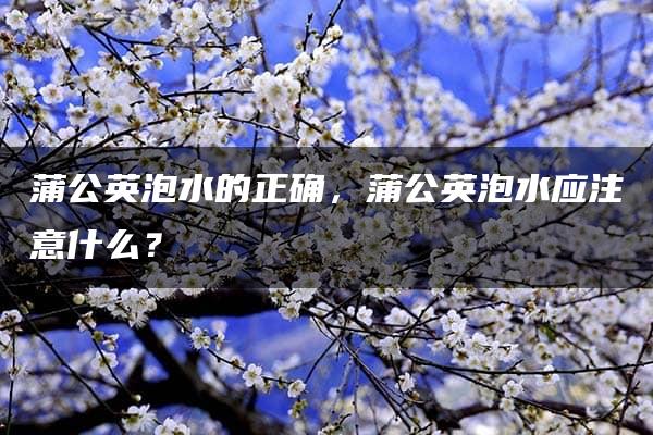 蒲公英泡水的正确，蒲公英泡水应注意什么？