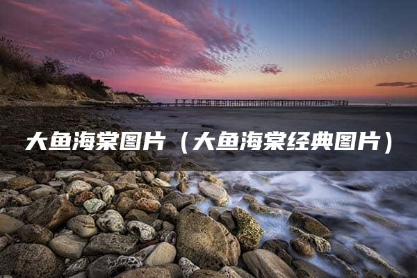 大鱼海棠图片（大鱼海棠经典图片）