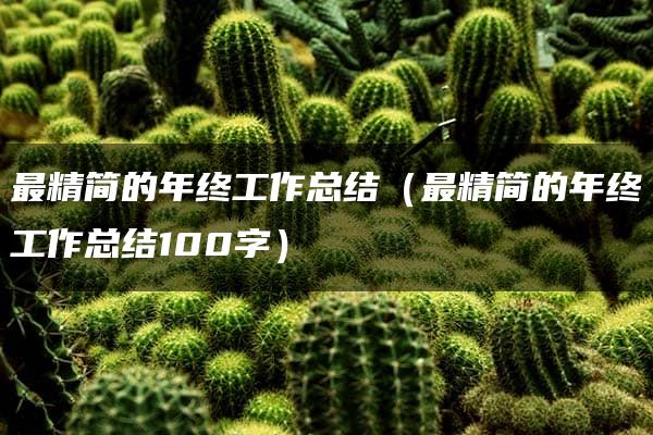 最精简的年终工作总结（最精简的年终工作总结100字）