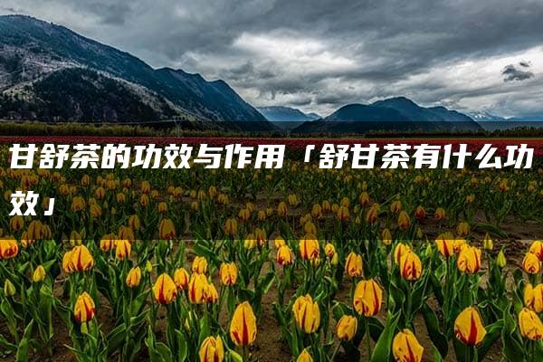 甘舒茶的功效与作用「舒甘茶有什么功效」