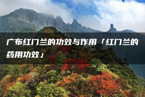 广布红门兰的功效与作用「红门兰的药用功效」