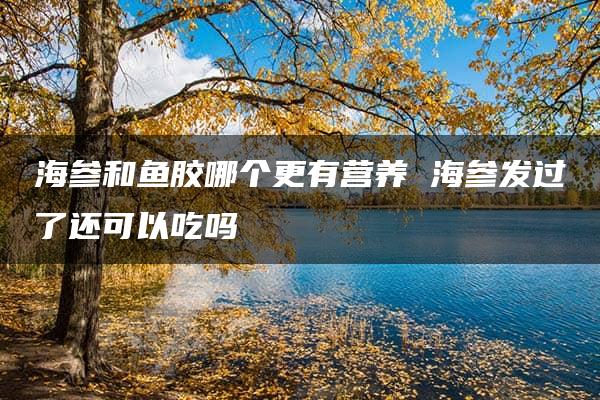 海参和鱼胶哪个更有营养 海参发过了还可以吃吗