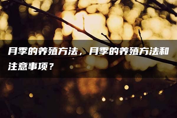 月季的养殖方法，月季的养殖方法和注意事项？