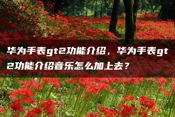 华为手表gt2功能介绍，华为手表gt2功能介绍音乐怎么加上去？