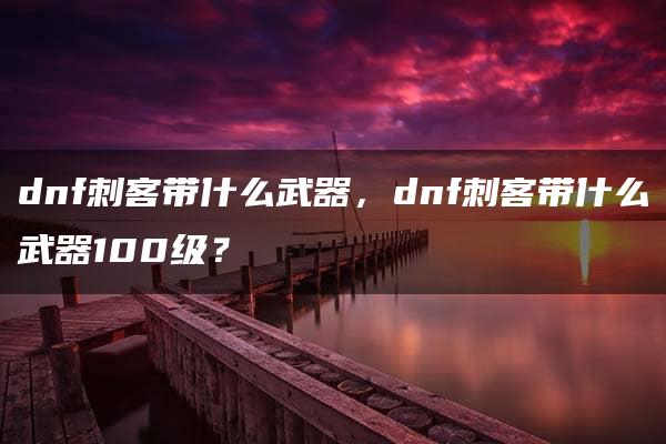 dnf刺客带什么武器，dnf刺客带什么武器100级？