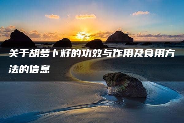 关于胡萝卜籽的功效与作用及食用方法的信息