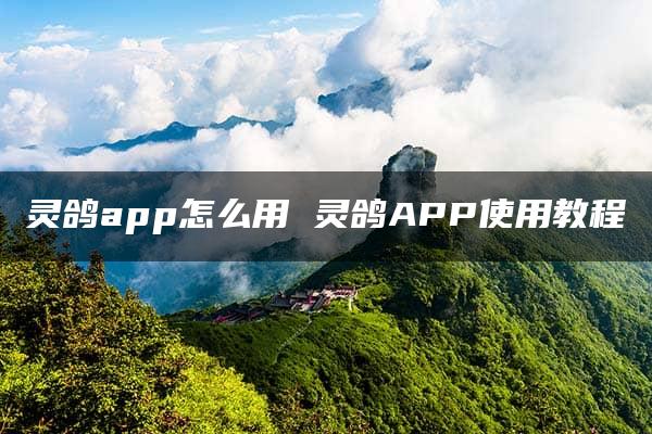 灵鸽app怎么用 灵鸽APP使用教程