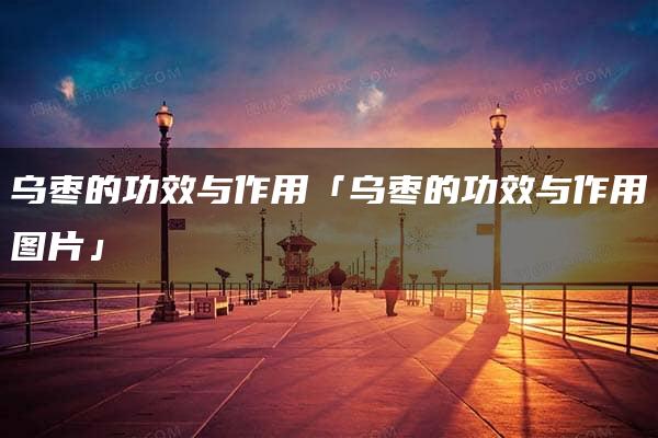 乌枣的功效与作用「乌枣的功效与作用图片」