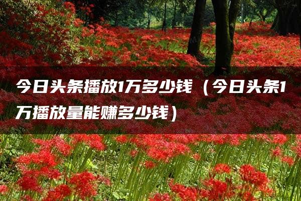 今日头条播放1万多少钱（今日头条1万播放量能赚多少钱）