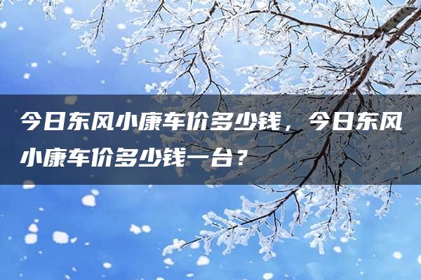 今日东风小康车价多少钱，今日东风小康车价多少钱一台？