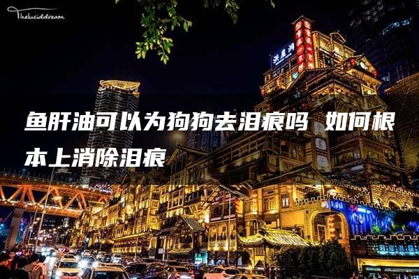 鱼肝油可以为狗狗去泪痕吗 如何根本上消除泪痕