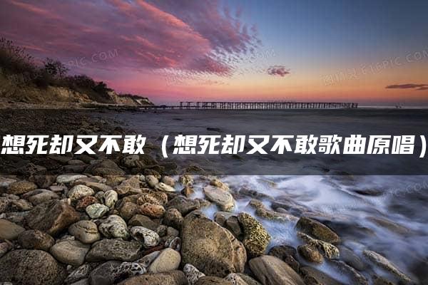 想死却又不敢（想死却又不敢歌曲原唱）