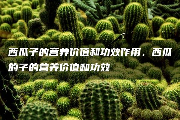 西瓜子的营养价值和功效作用，西瓜的子的营养价值和功效