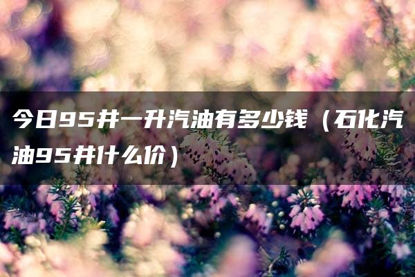 今日95井一升汽油有多少钱（石化汽油95井什么价）