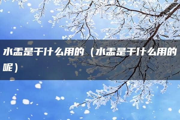 水盂是干什么用的（水盂是干什么用的呢）