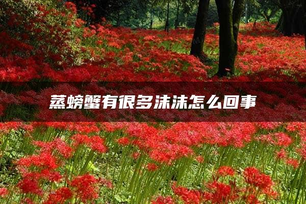 蒸螃蟹有很多沫沫怎么回事