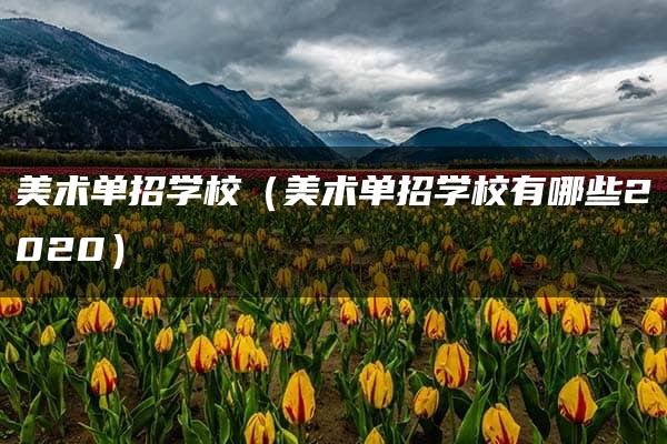 美术单招学校（美术单招学校有哪些2020）