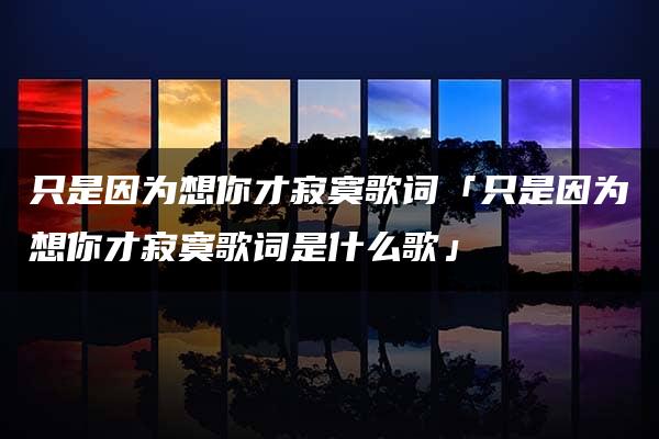 只是因为想你才寂寞歌词「只是因为想你才寂寞歌词是什么歌」