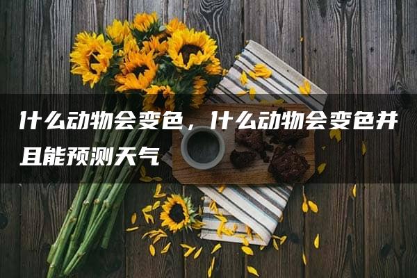 什么动物会变色，什么动物会变色并且能预测天气