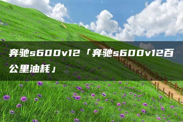 奔驰s600v12「奔驰s600v12百公里油耗」