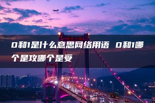 0和1是什么意思网络用语 0和1哪个是攻哪个是受