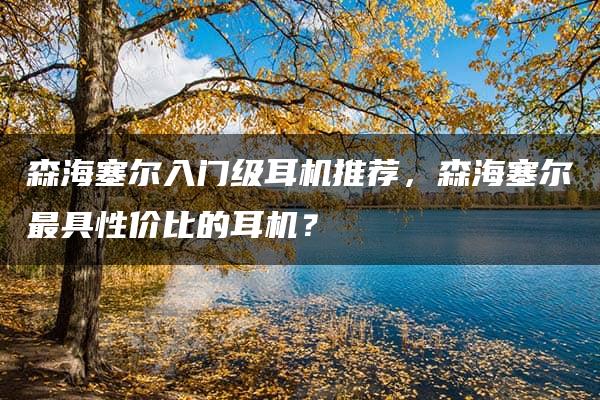 森海塞尔入门级耳机推荐，森海塞尔最具性价比的耳机？