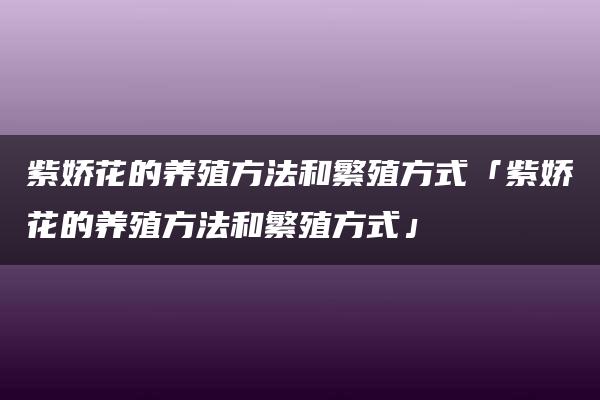 紫娇花的养殖方法和繁殖方式「紫娇花的养殖方法和繁殖方式」