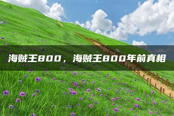 海贼王800，海贼王800年前真相