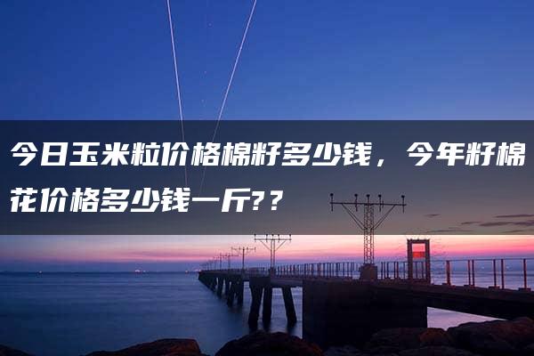 今日玉米粒价格棉籽多少钱，今年籽棉花价格多少钱一斤?？