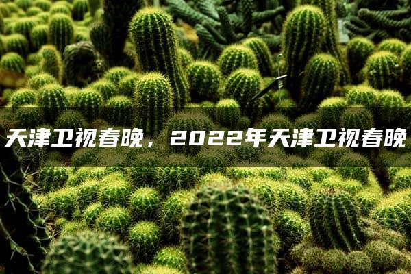 天津卫视春晚，2022年天津卫视春晚