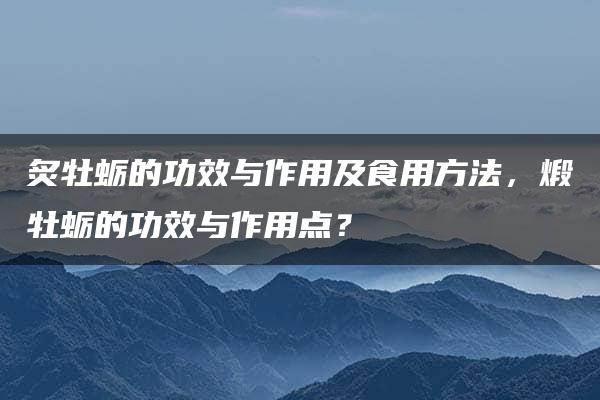 炙牡蛎的功效与作用及食用方法，煅牡蛎的功效与作用点？