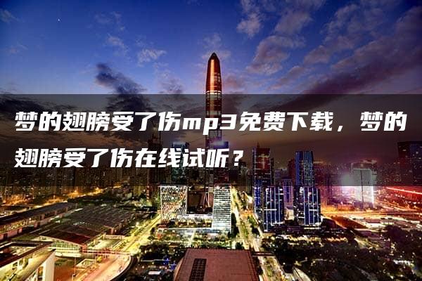 梦的翅膀受了伤mp3免费下载，梦的翅膀受了伤在线试听？